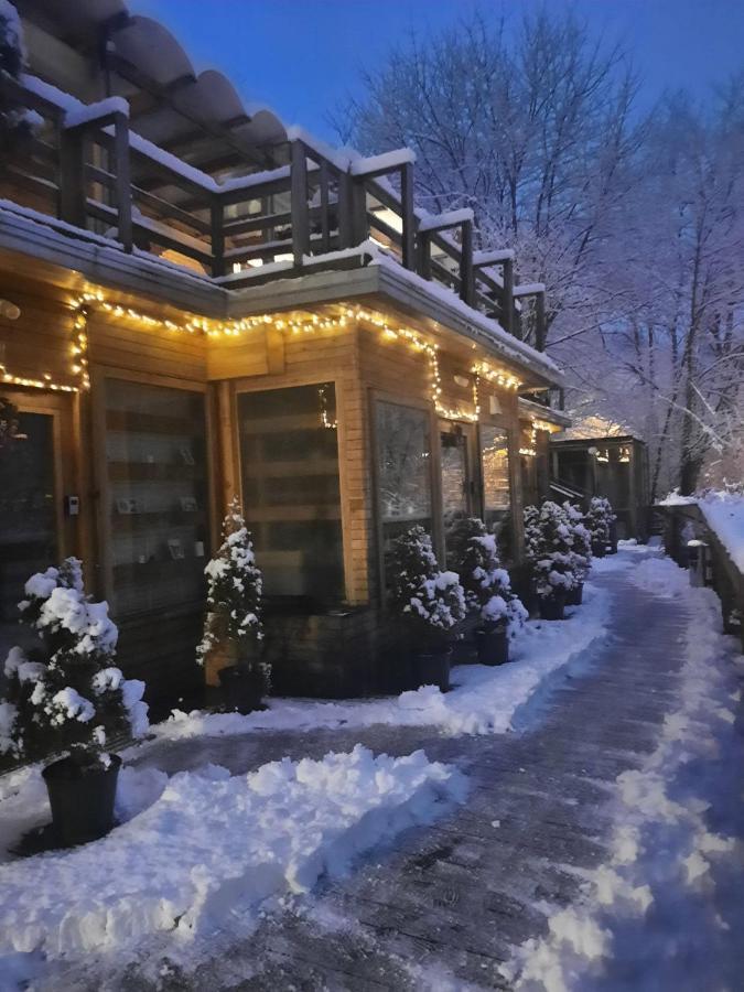 Skay Loft Bed & Breakfast Brasov Exterior photo